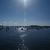 Falmouth Inner  Harbour